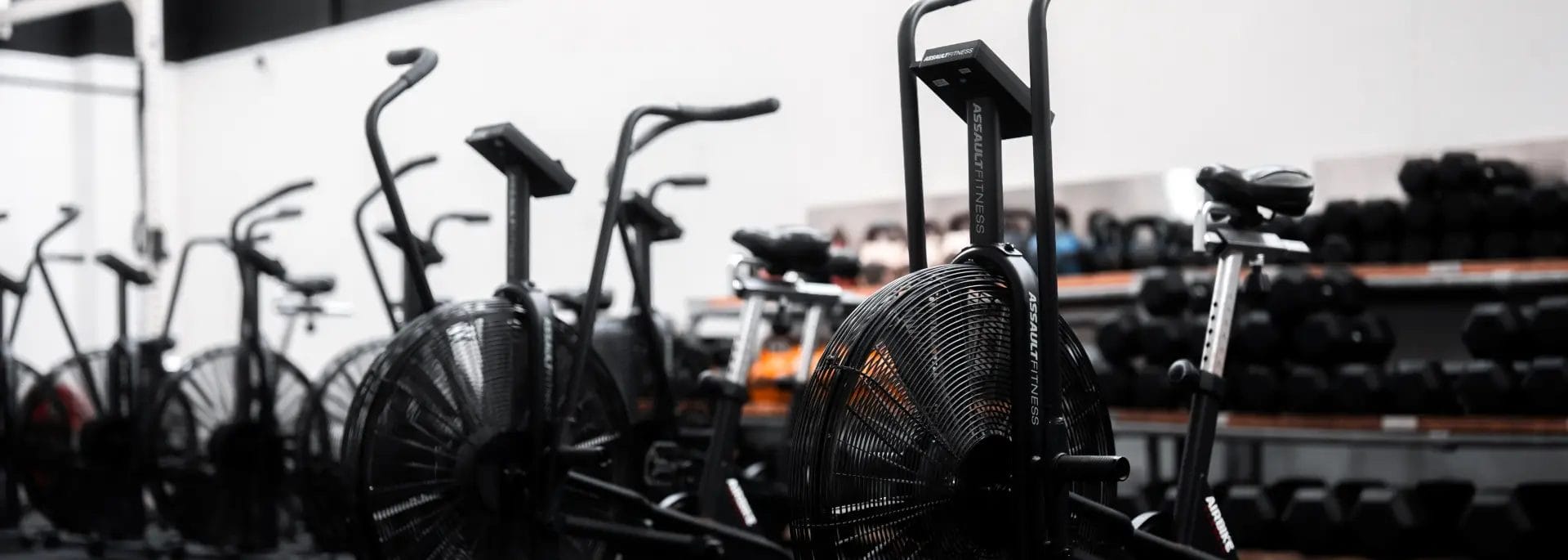 Equipment bicycles at Temple Fitness